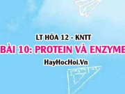 Tính chất hóa học, vật lí của Protein? Khái niệm, cấu...